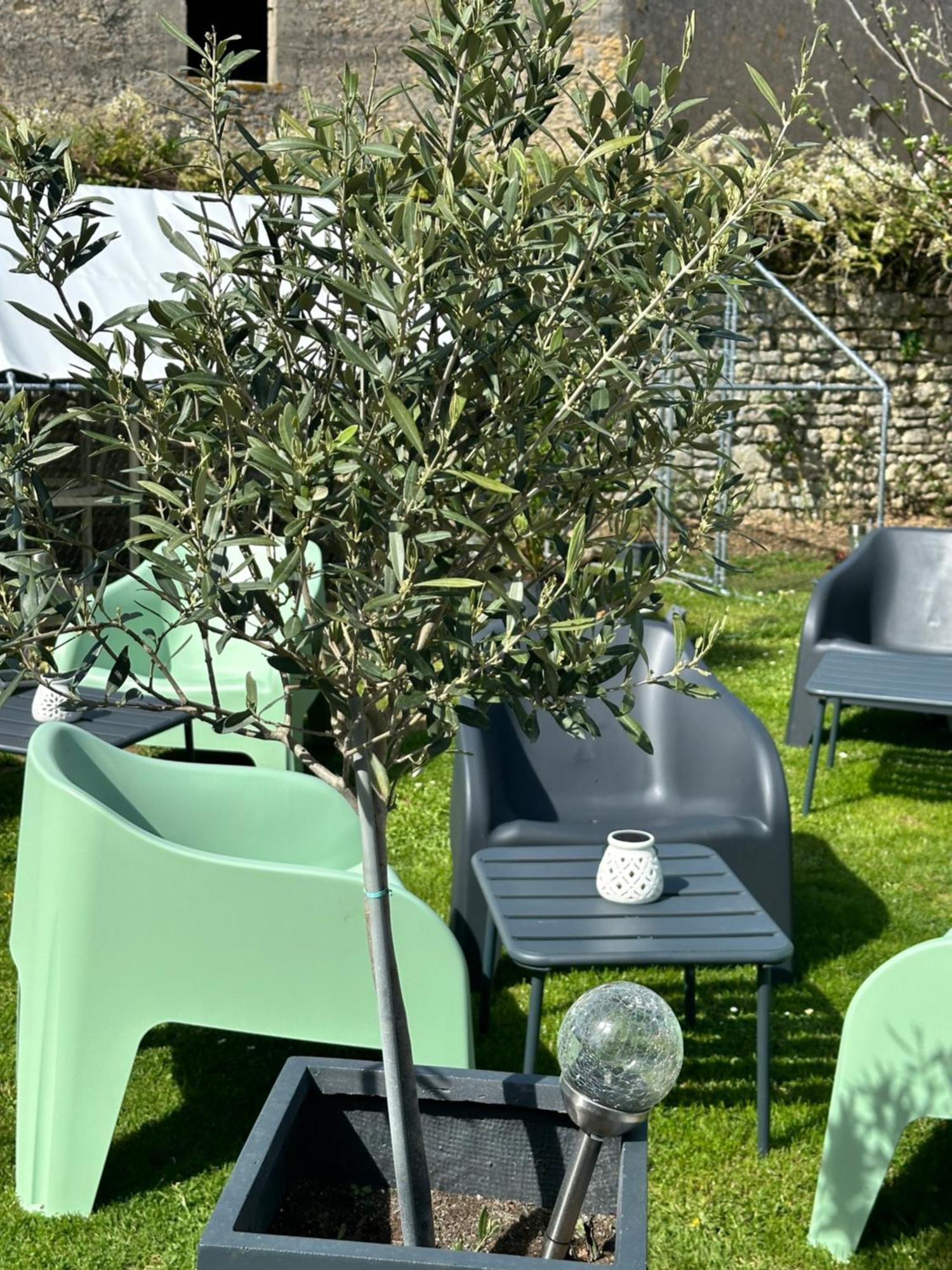 Restaurant Le Clos De L 'ancien Pressoir 3* Commes