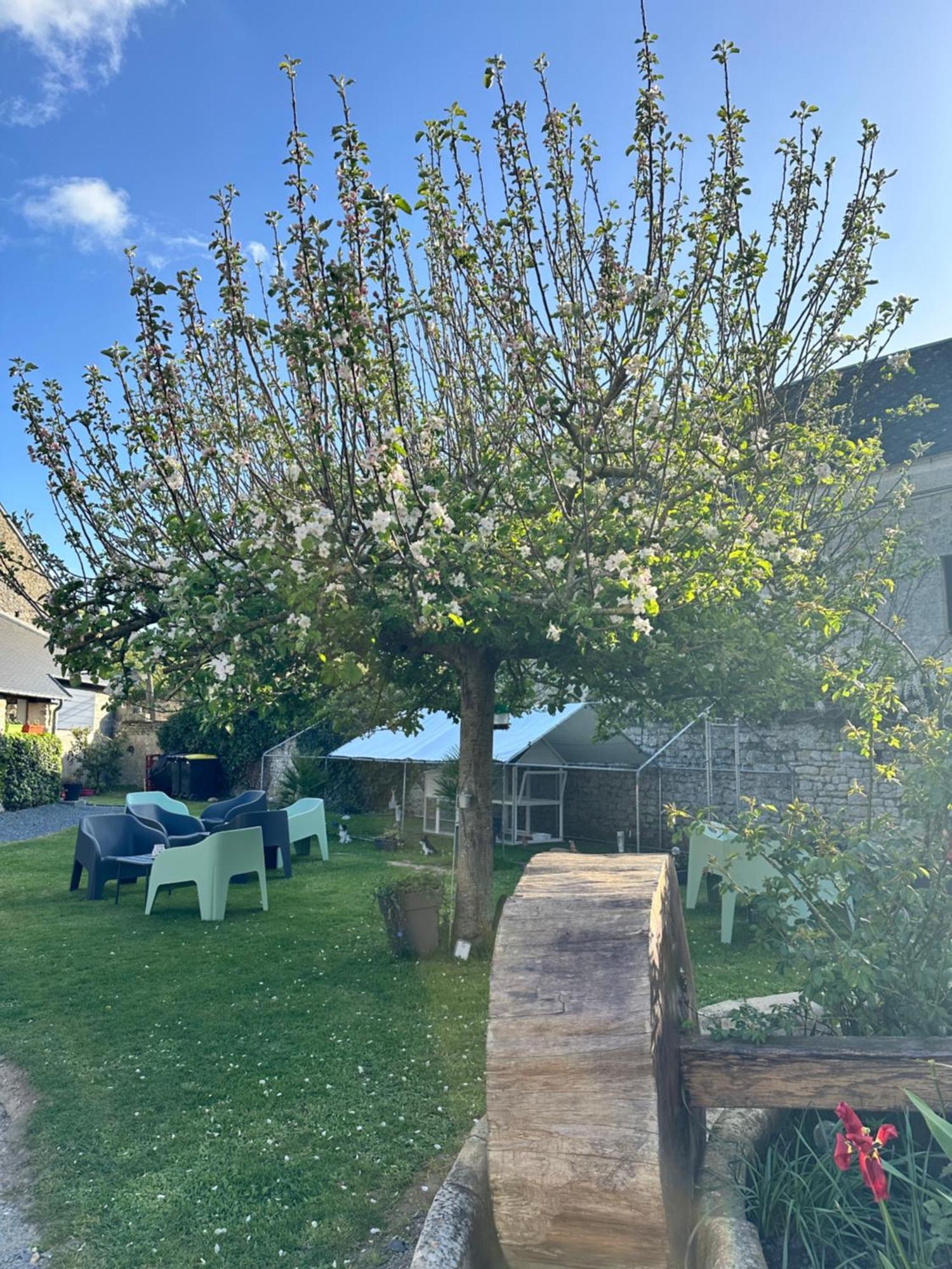 Restaurant Le Clos De L 'ancien Pressoir Commes